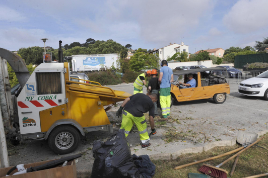 Déchets verts