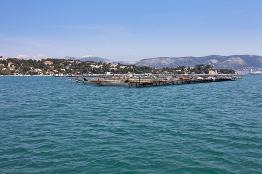 Aquaculture baie de Tamaris