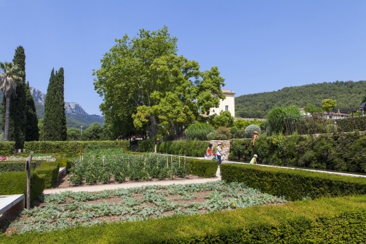 Carrés cultivés Jardin remarquable de Baudouvin