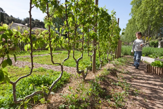 jardin baudouvin vergers