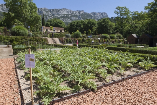 Carré de plantation du Jardin  remarquable de Baudouvin