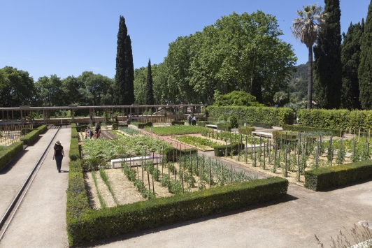 Carré de plantation du Jardin  remarquable de Baudouvin