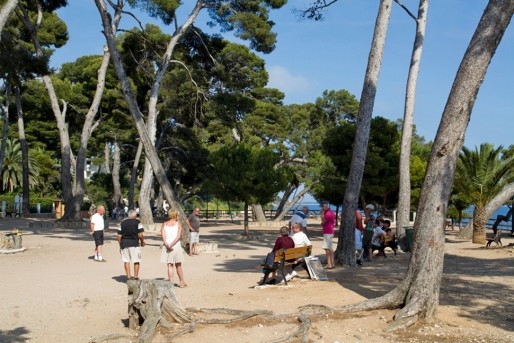 Carqueiranne - Les Pins penchés