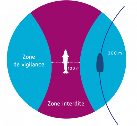 Schéma des zones