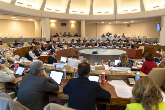 Conseil métropolitain du 19 décembre 2024