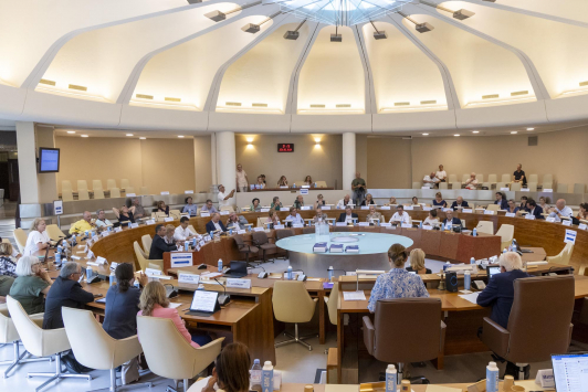 Conseil métropolitain du 26 juin 2025