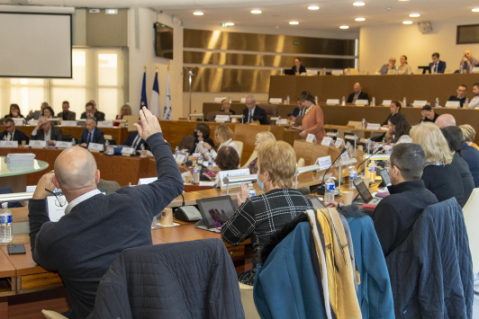 Conseil métropolitain du 22 mars 2022