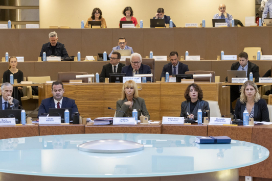 Conseil métropolitain du 28 mars 2024