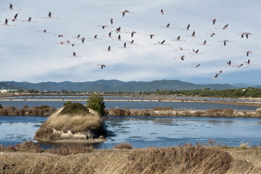 Les Salins d'Hyères