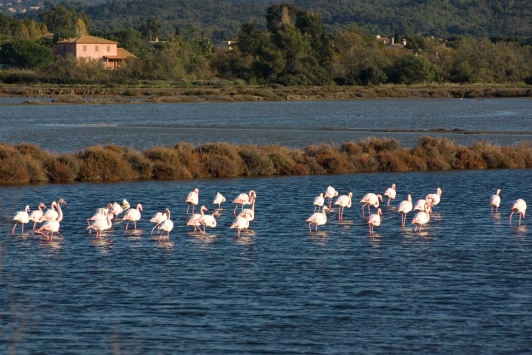 Les Salins d'Hyères