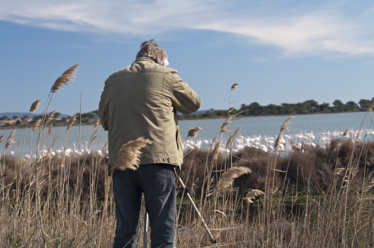 Les Salins d'Hyères