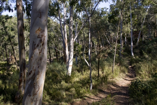 Site natura 2000