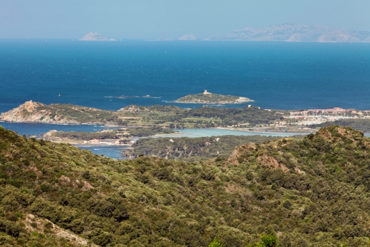 L'île aux fleurs