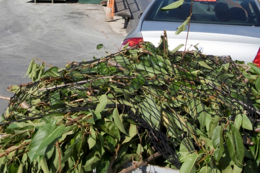 Déchets de chantiers