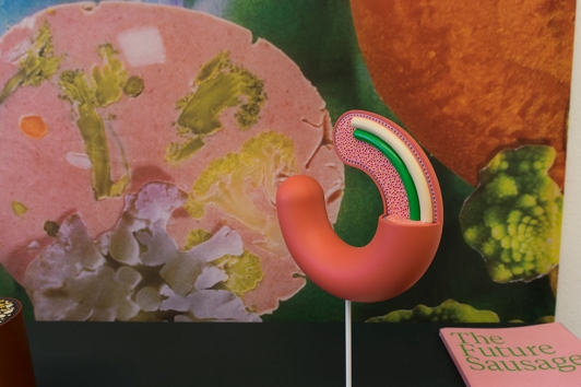 Design Parade Hyères 2017 - Villa Noailles : Carolien Niebling © Olivier Pastor TPM