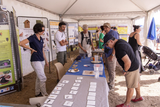 Fête de la Nature 2022 - Vieux salins d'Hyères