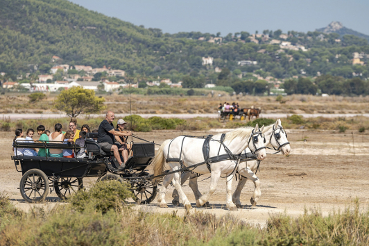 Fête des Salins d'Hyères 