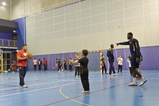 MIG basket