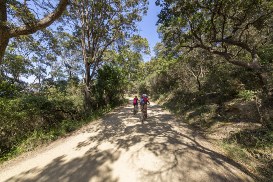 porquerolles_piste_velo