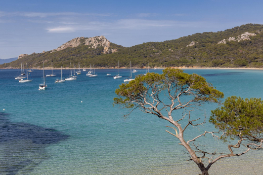 Plages de Porquerolles