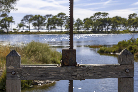 Les vieux salins