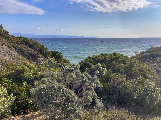 Visite Pointe de l'Esterel - Presqu'île de Giens à Hyères