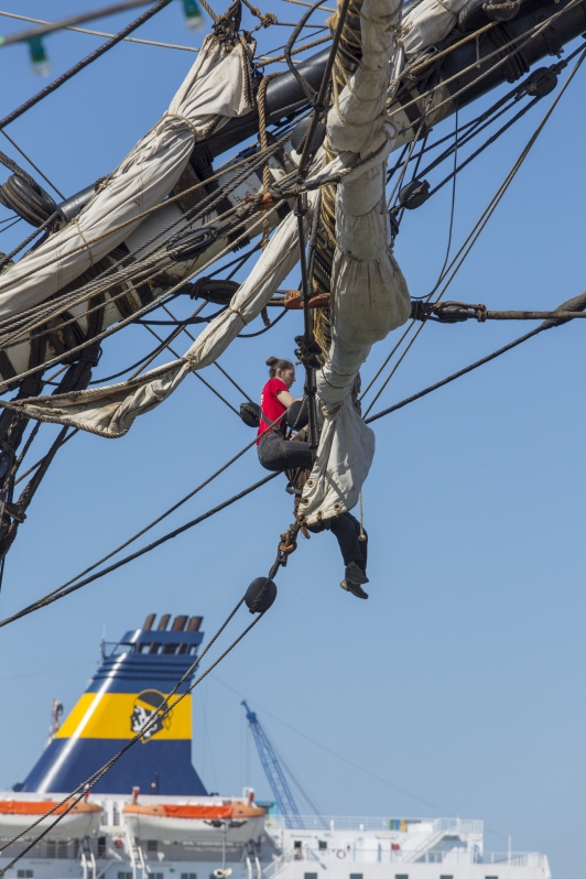 Gabiers dans les voiles de l'Hermione