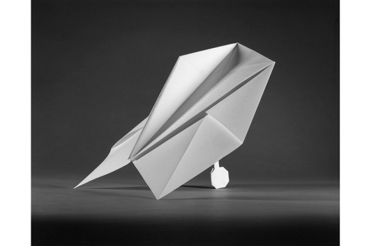 Sjoerd Knibbeler, Grand prix du jury photo