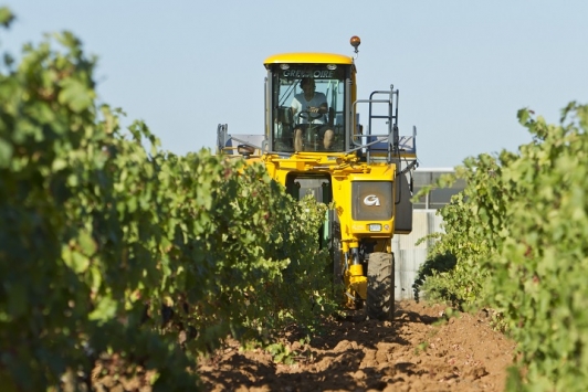vendanges à la machine, La Crau
