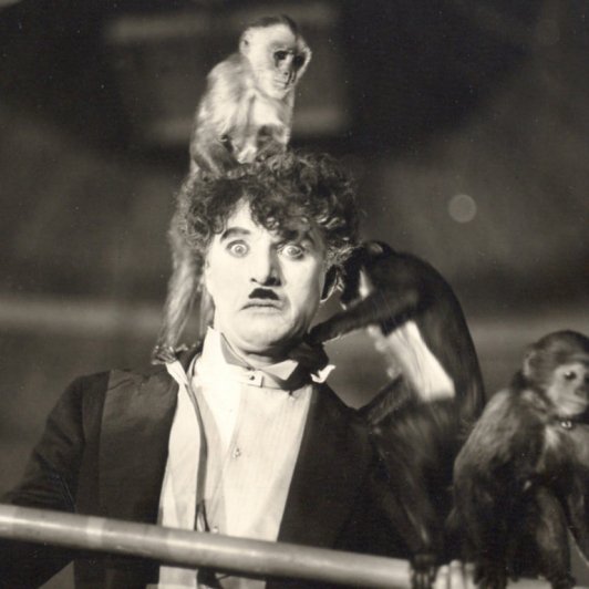Le cirque ©DR