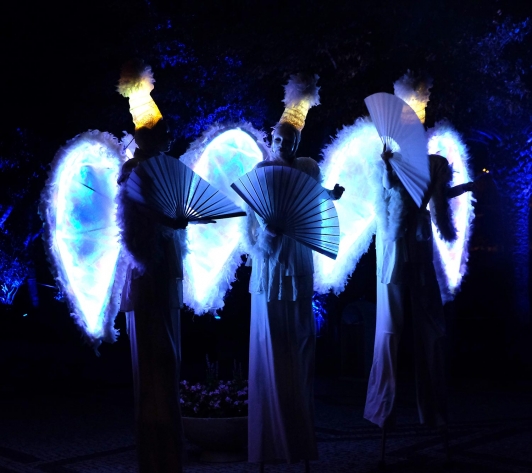 Les Anges © DR