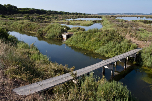 Salins des Pesquiers - ouvrages d'irrigations - Hyères