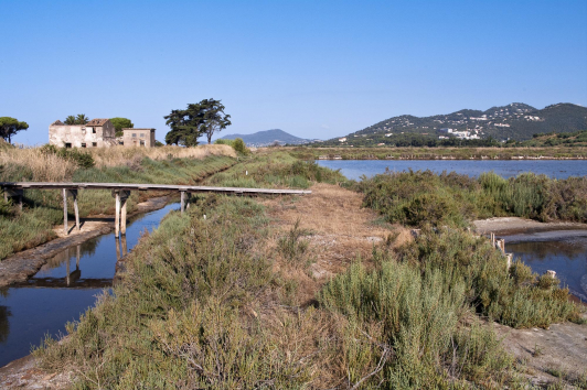 Les Salins des Pesquiers à Hyères