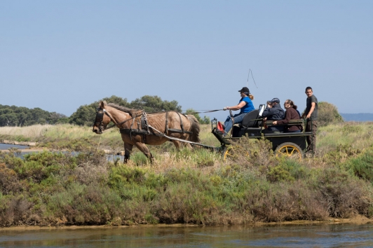 Fête de la nature aux Salins