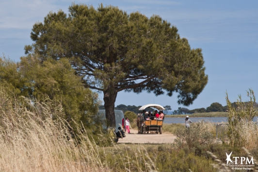 Fête de la nature 2015