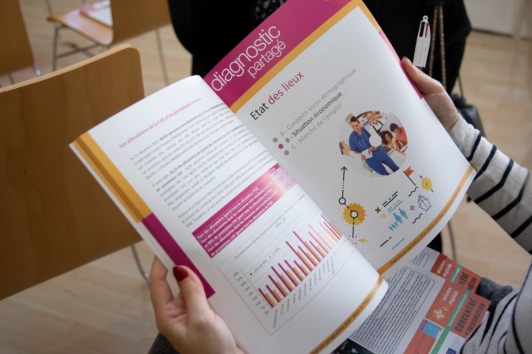 Diagnostic partagé 2018 : Maison de l'emploi TPM