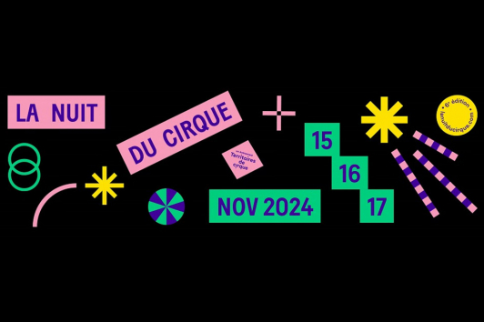 Nuit du Cirque