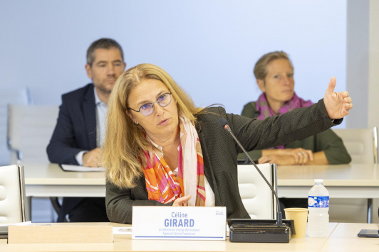 Céline Girard, architecte en charge des travaux - Agence Fabrica Traceorum 