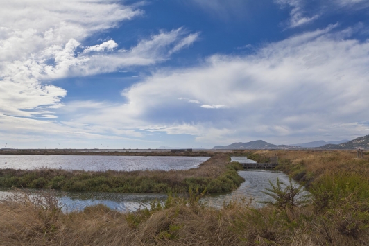 Hyères - Les salins des Pesquier