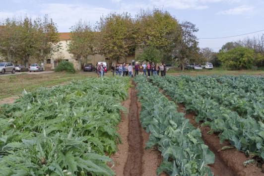 Rencontre Projet Alimentaire Territorial 