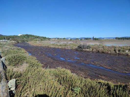 Le canal de réserve au nord du tombolo ouest en novembre 2023