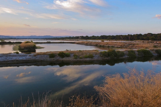 Salins Hyères