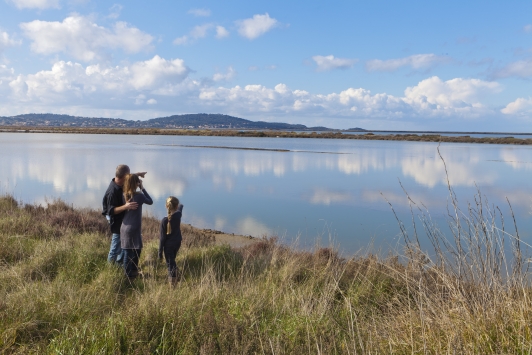 Salins des Pesquiers