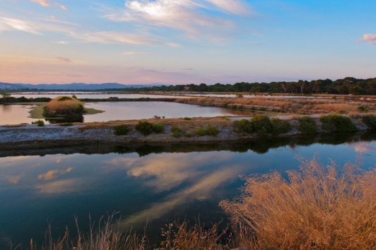 Les Salins d'Hyères