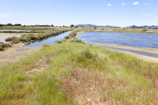 Vieux Salins - Hyères