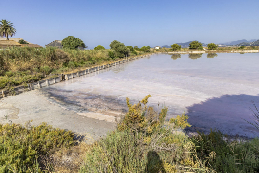 Les Salins d'Hyères - Récolte du sel