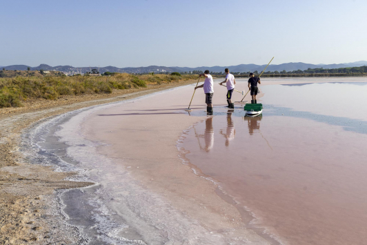 Les Salins d'Hyères - Récolte du sel
