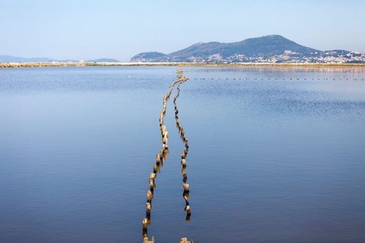 Salins des Pesquiers © Hortense Hebrard