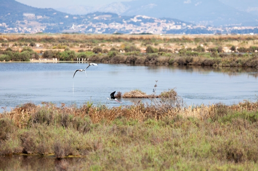 Salins des Pesquiers © Hortense Hebrard