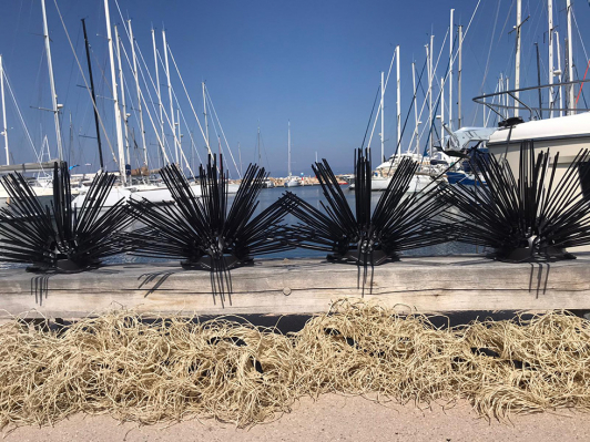 Nurserie à poissons de l'entreprise Seaboost, démarche Ports Propres, port de Porquerolles à Hyères